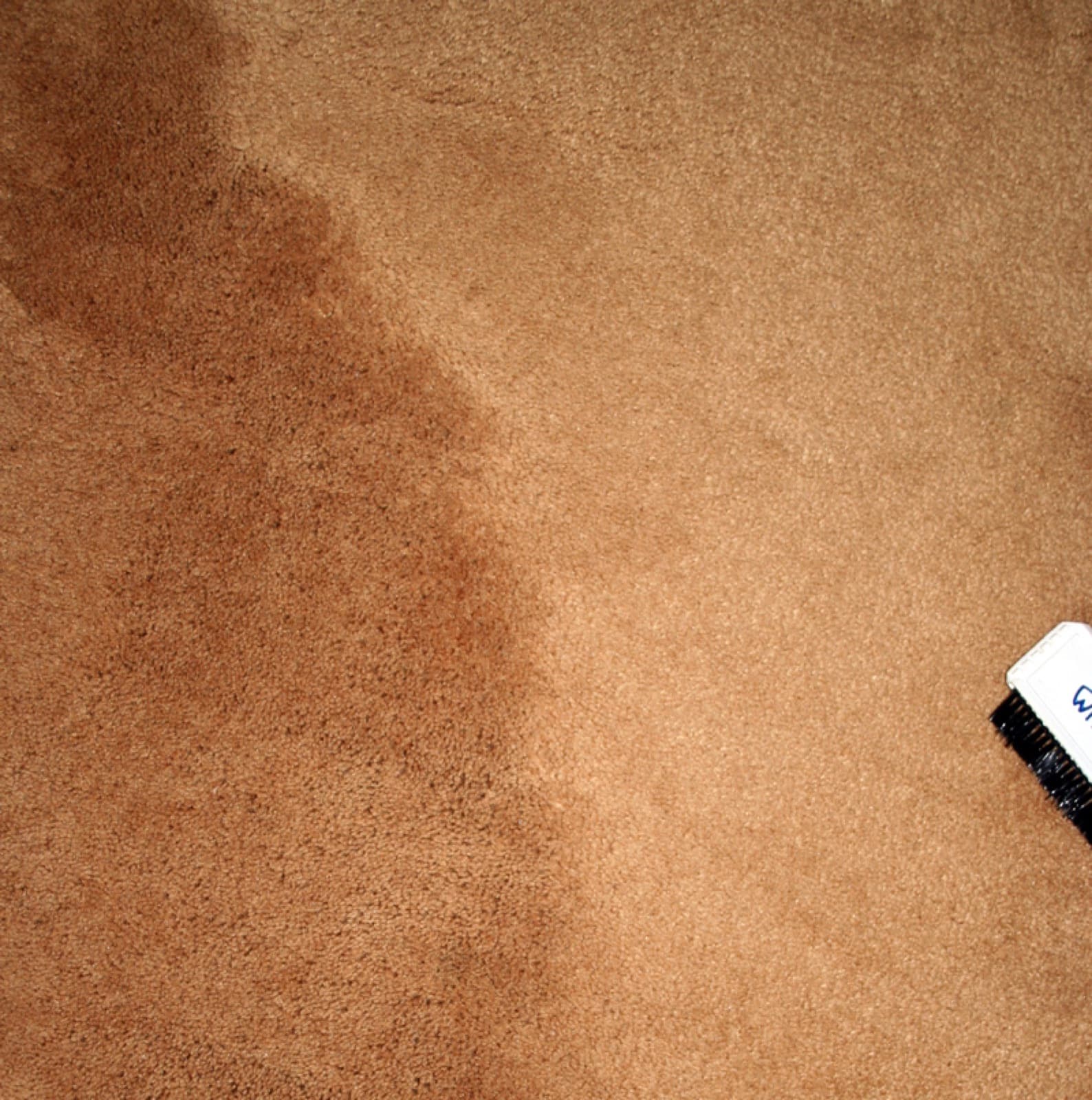 Close-up of water-damage failure pattern at a hardwood-to-tile transition.